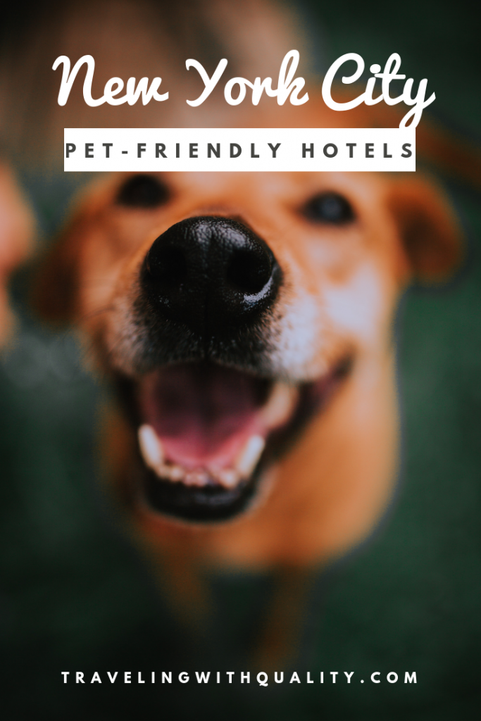 pet-friendly hotels nyc