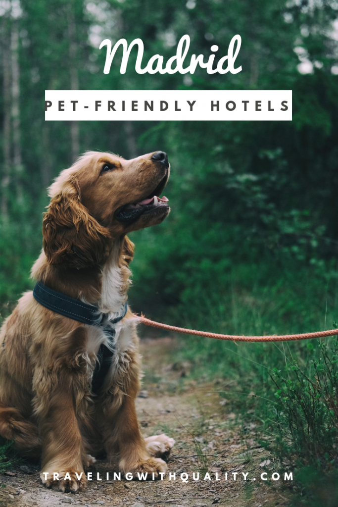 pet-friendly hotels madrid